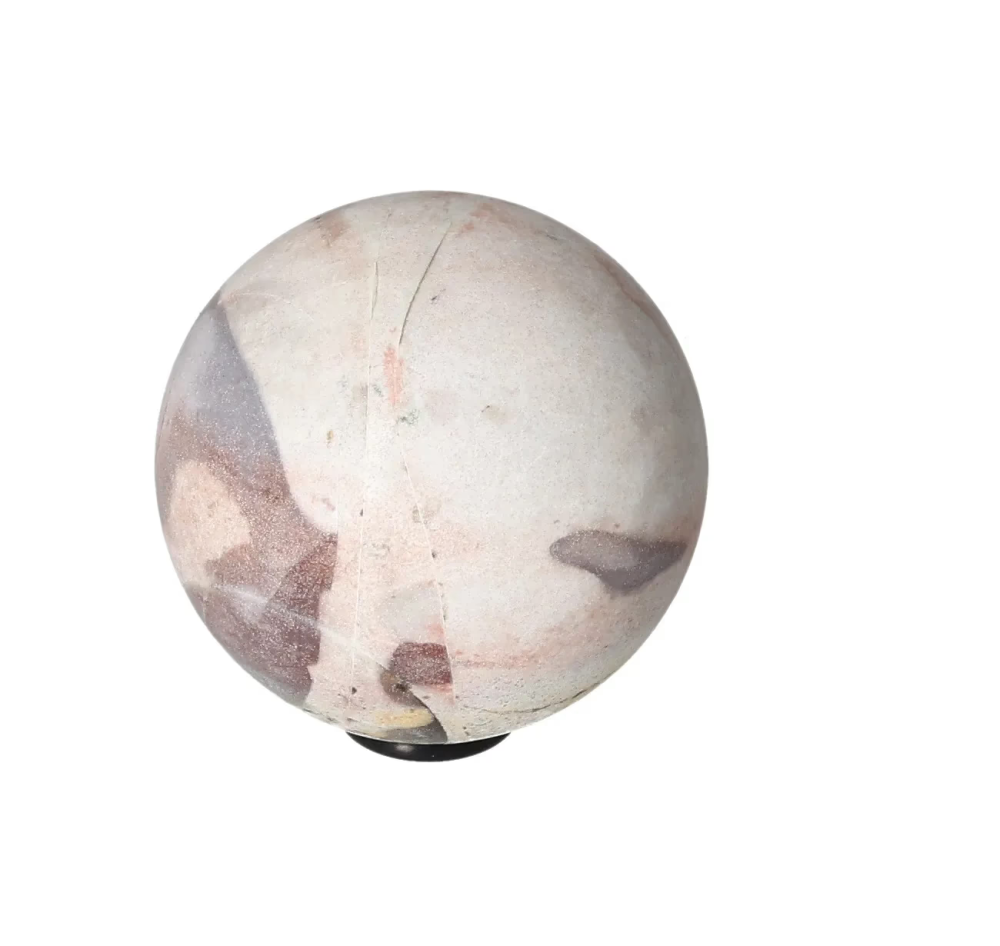 orbitvu|type:image2d