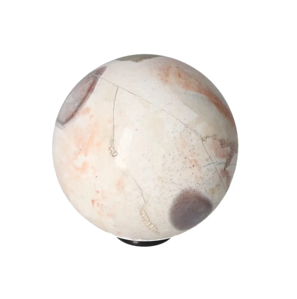 orbitvu|type:image2d