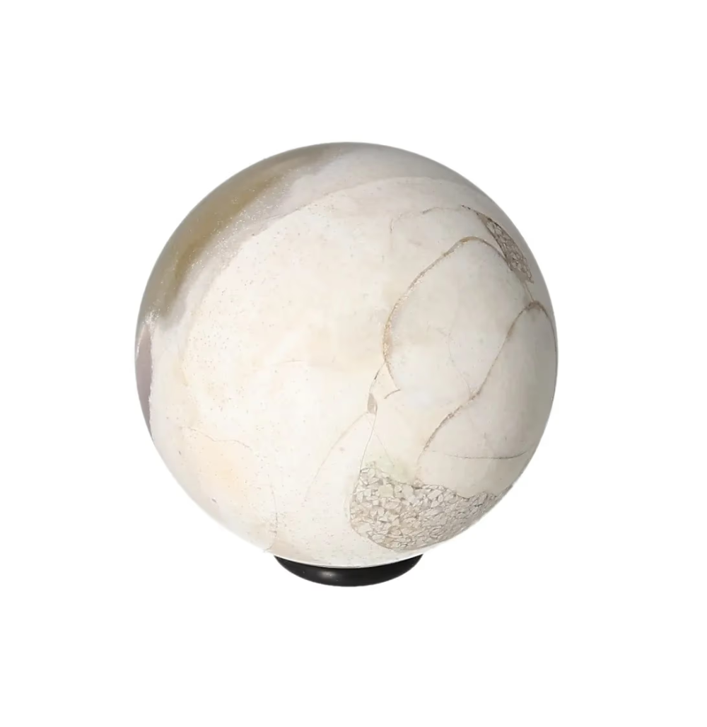 orbitvu|type:image2d