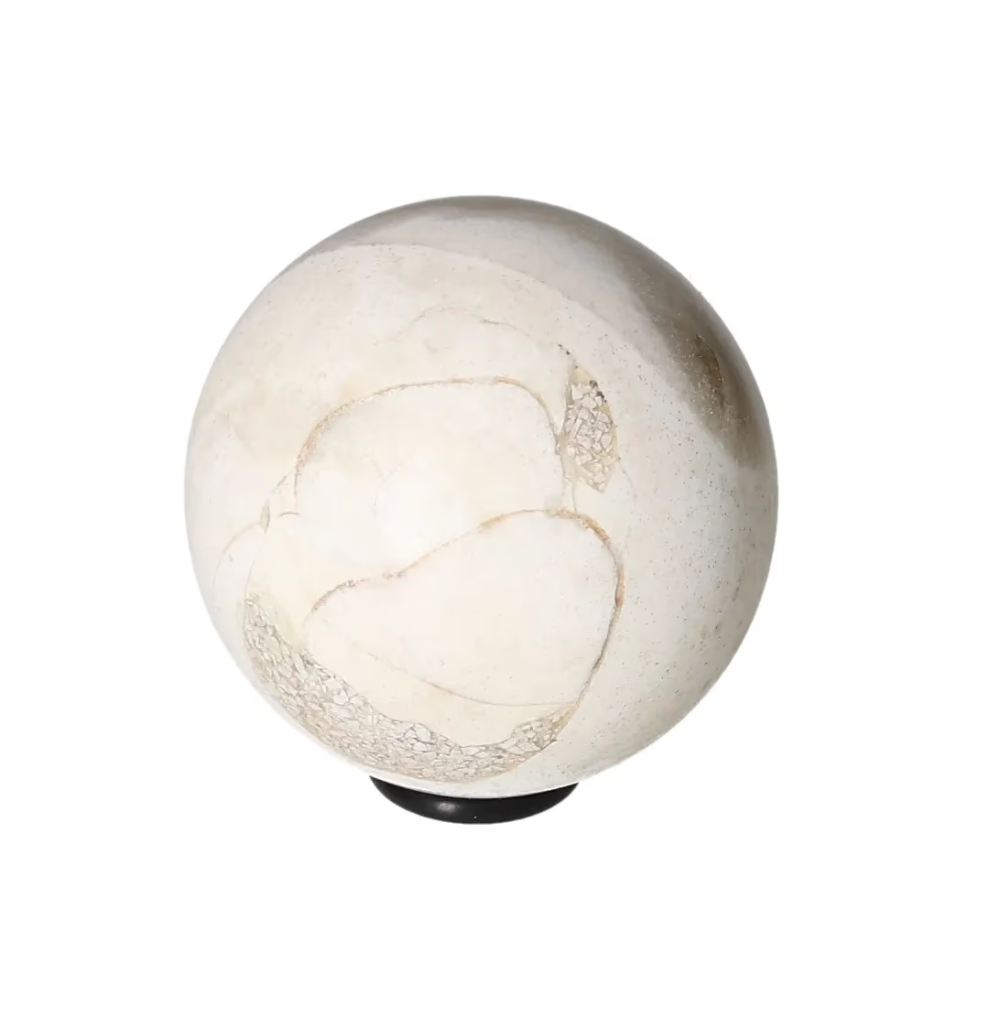 orbitvu|type:image2d