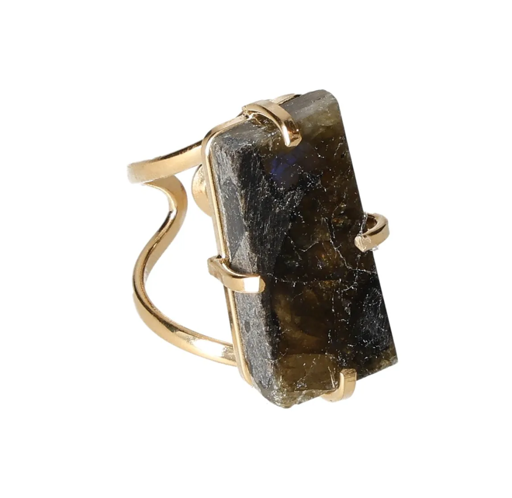 orbitvu|type:image2d