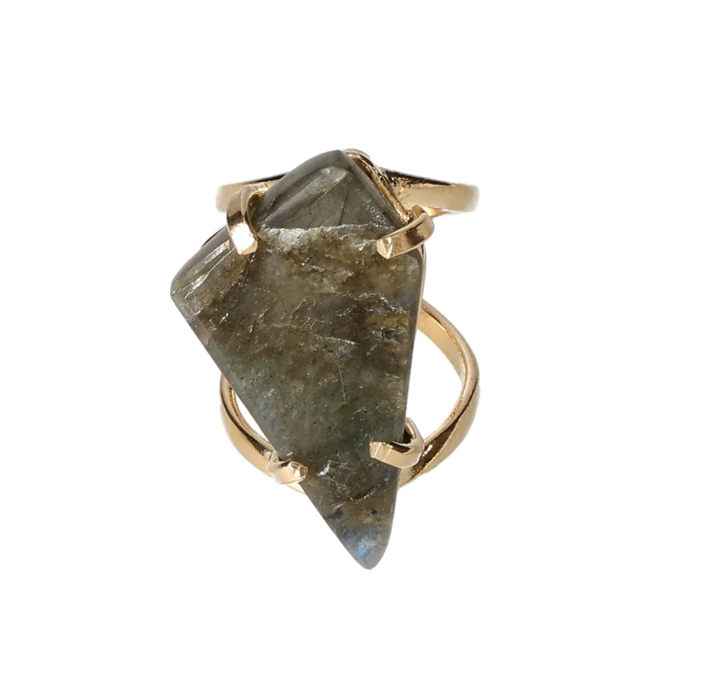 orbitvu|type:image2d