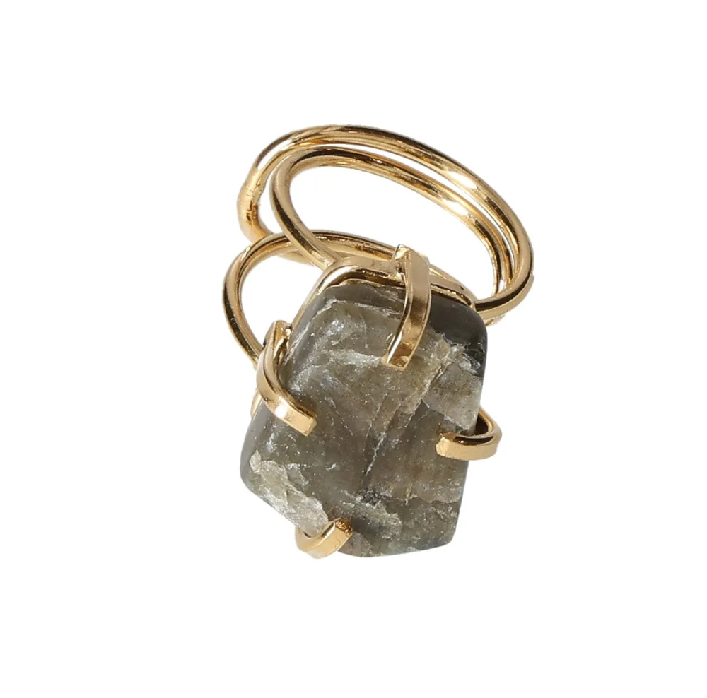 orbitvu|type:image2d