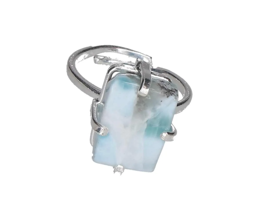 orbitvu|type:image2d