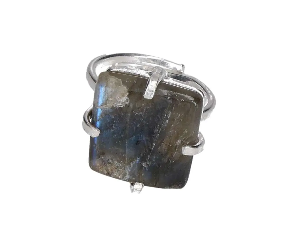 orbitvu|type:image2d