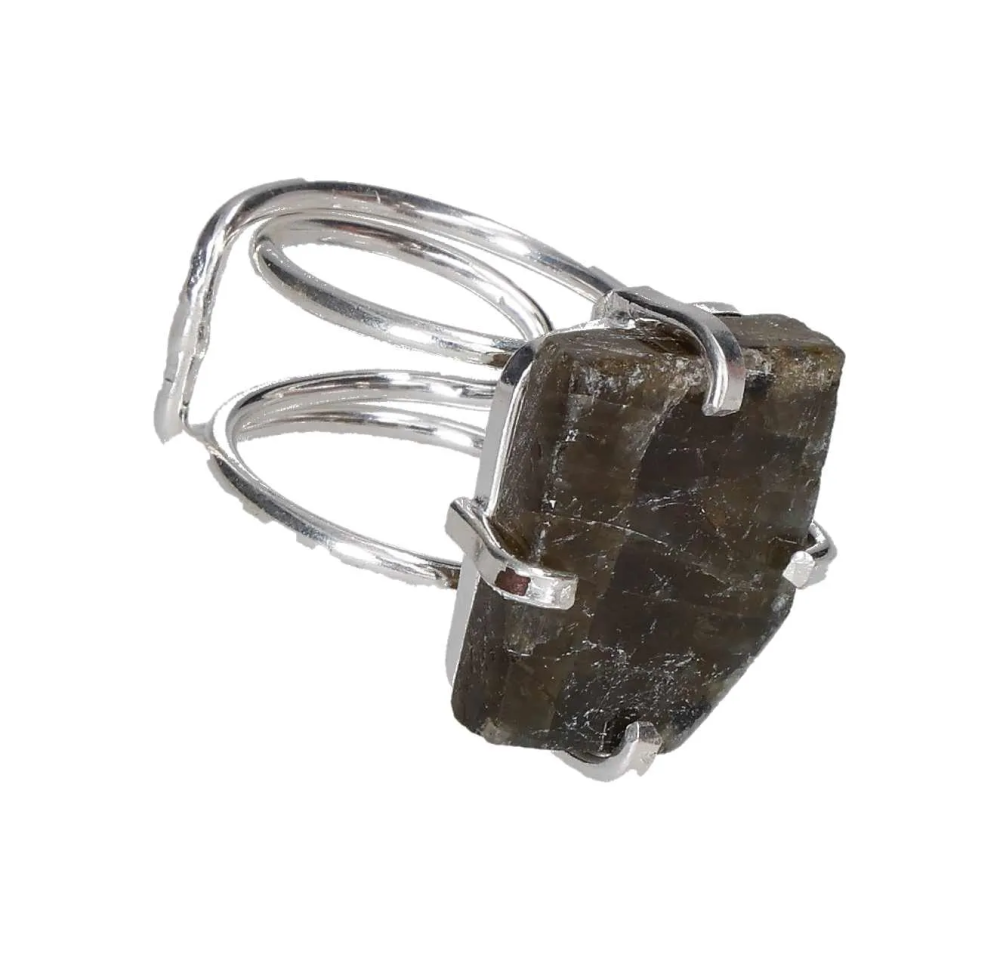 orbitvu|type:image2d