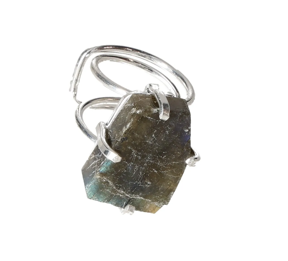 orbitvu|type:image2d