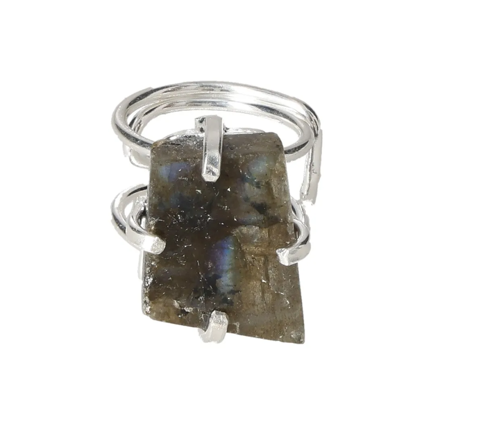 orbitvu|type:image2d