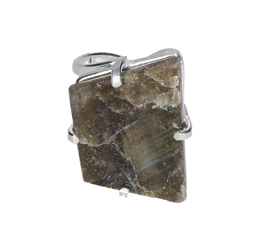 orbitvu|type:image2d