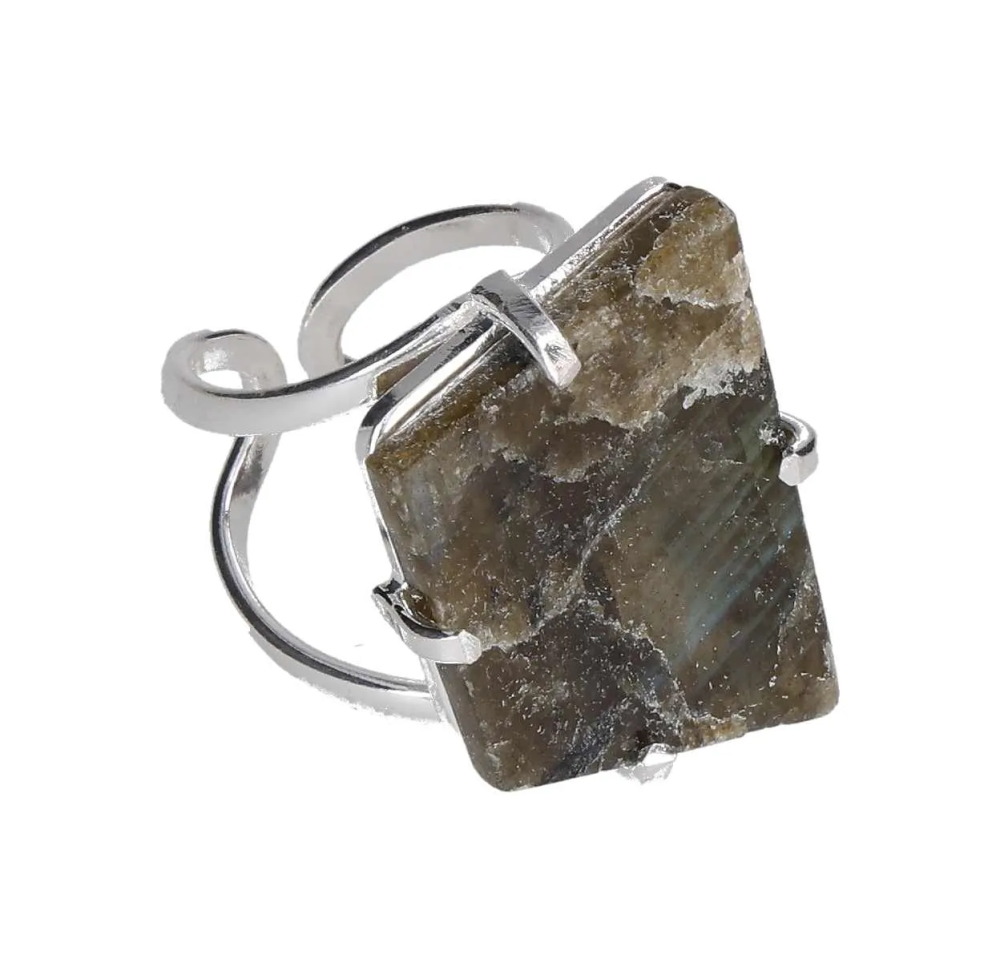 orbitvu|type:image2d