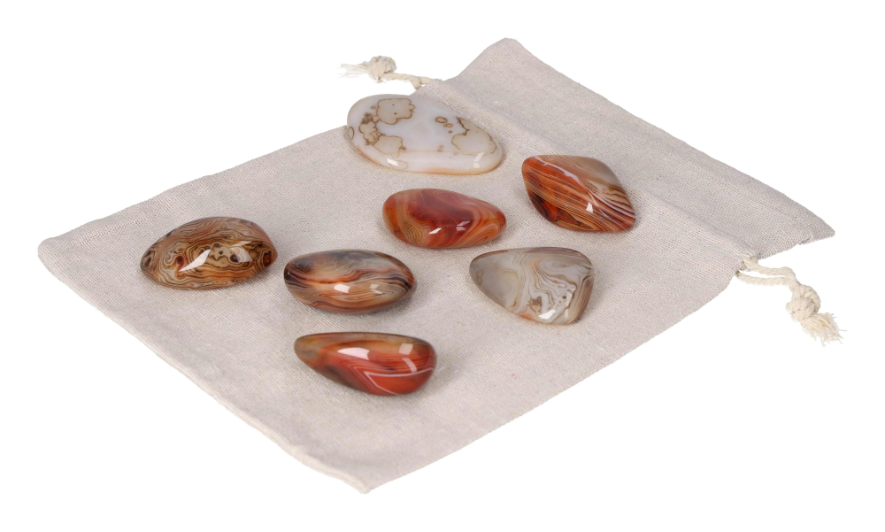 orbitvu|type:image2d