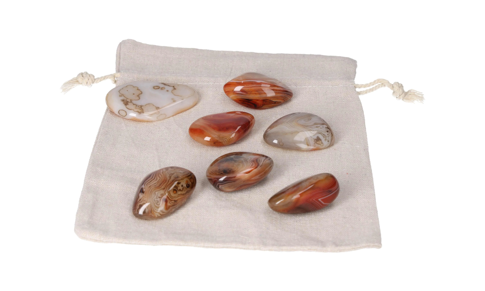 orbitvu|type:image2d