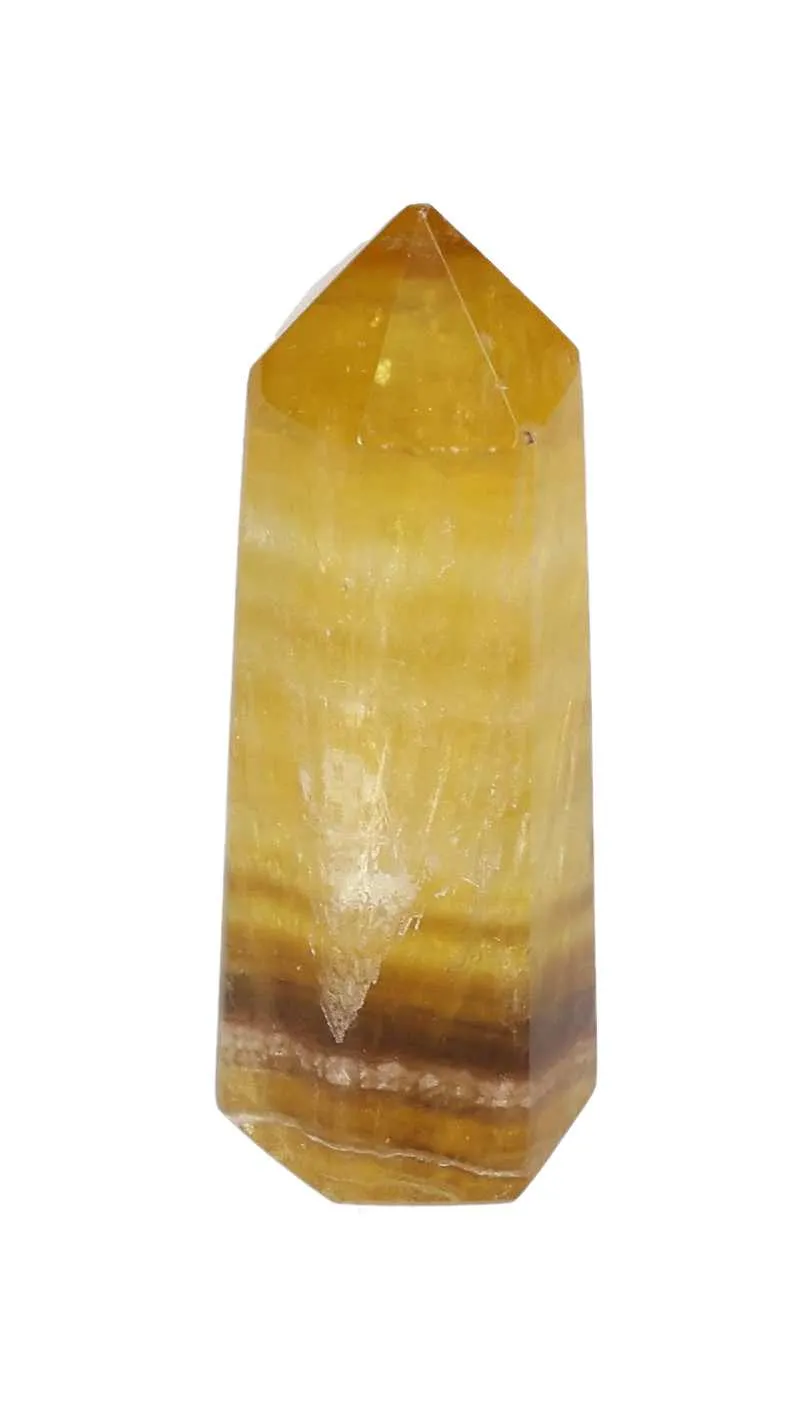 orbitvu|type:image2d