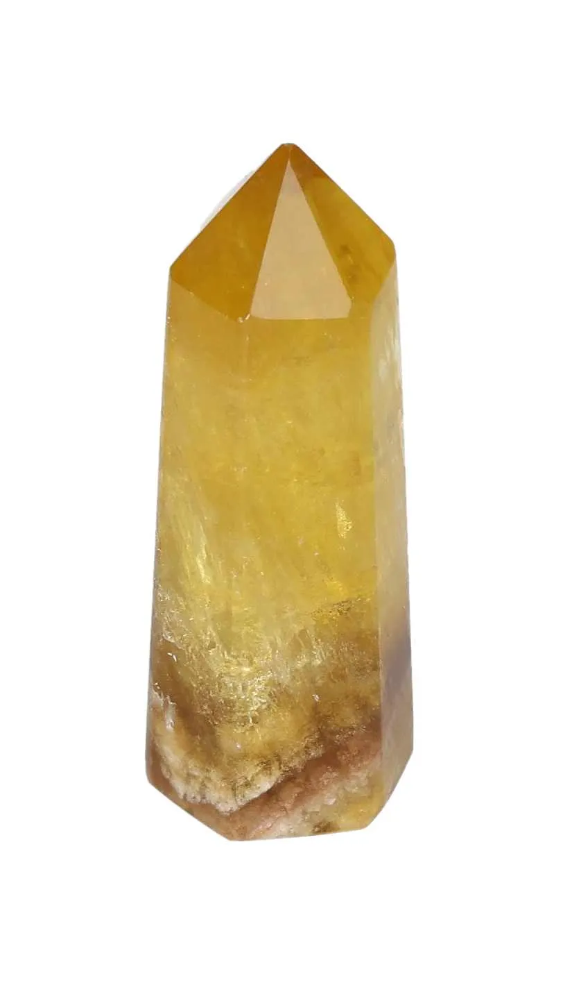 orbitvu|type:image2d