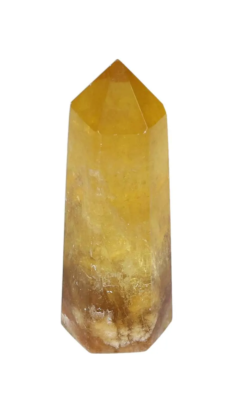 orbitvu|type:image2d