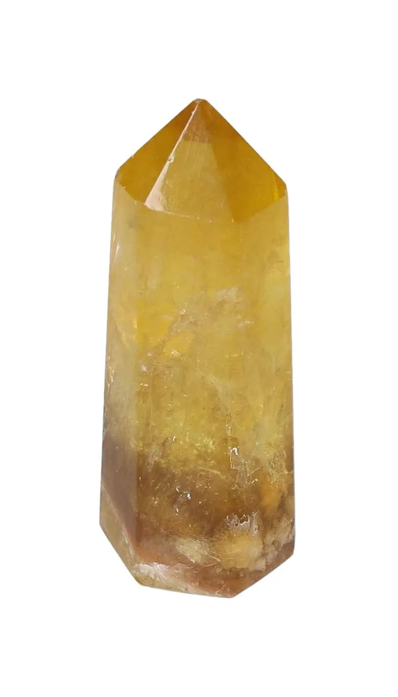 orbitvu|type:image2d