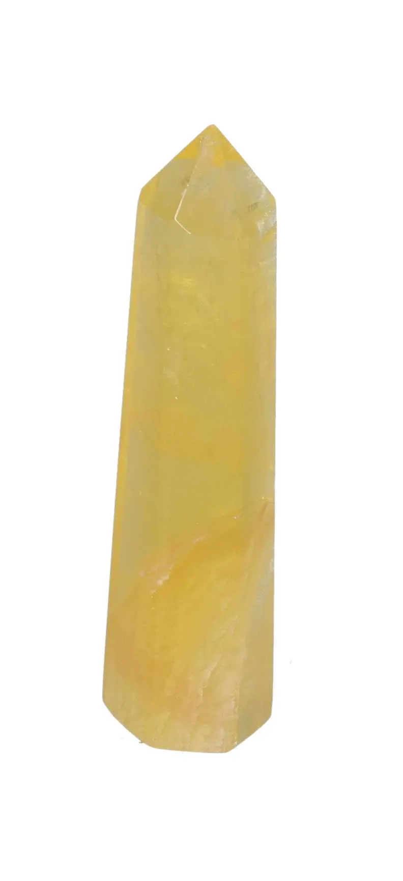 orbitvu|type:image2d