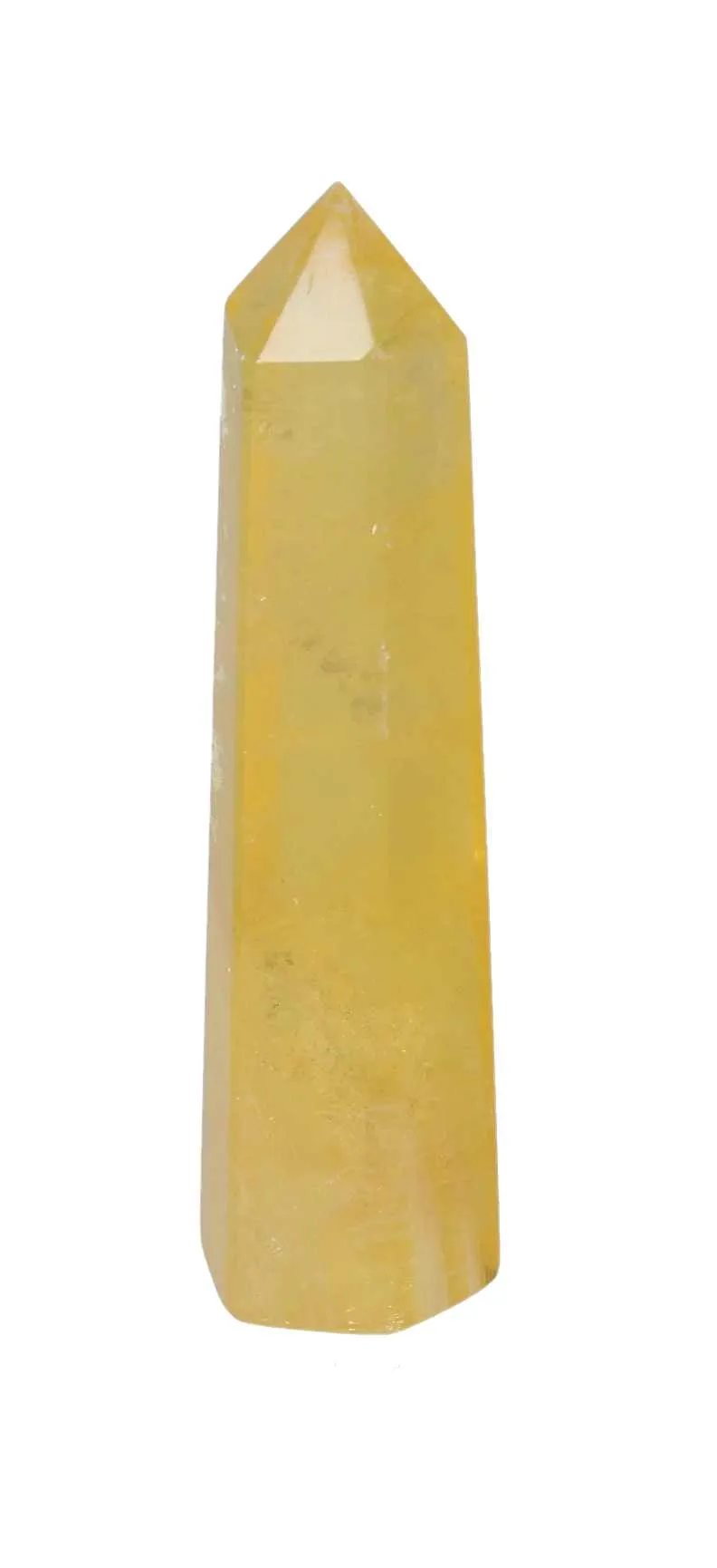 orbitvu|type:image2d