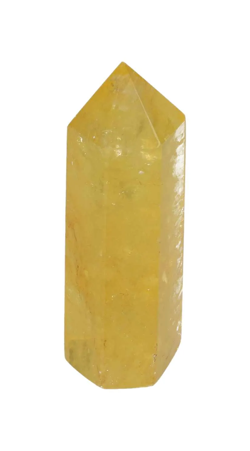 orbitvu|type:image2d