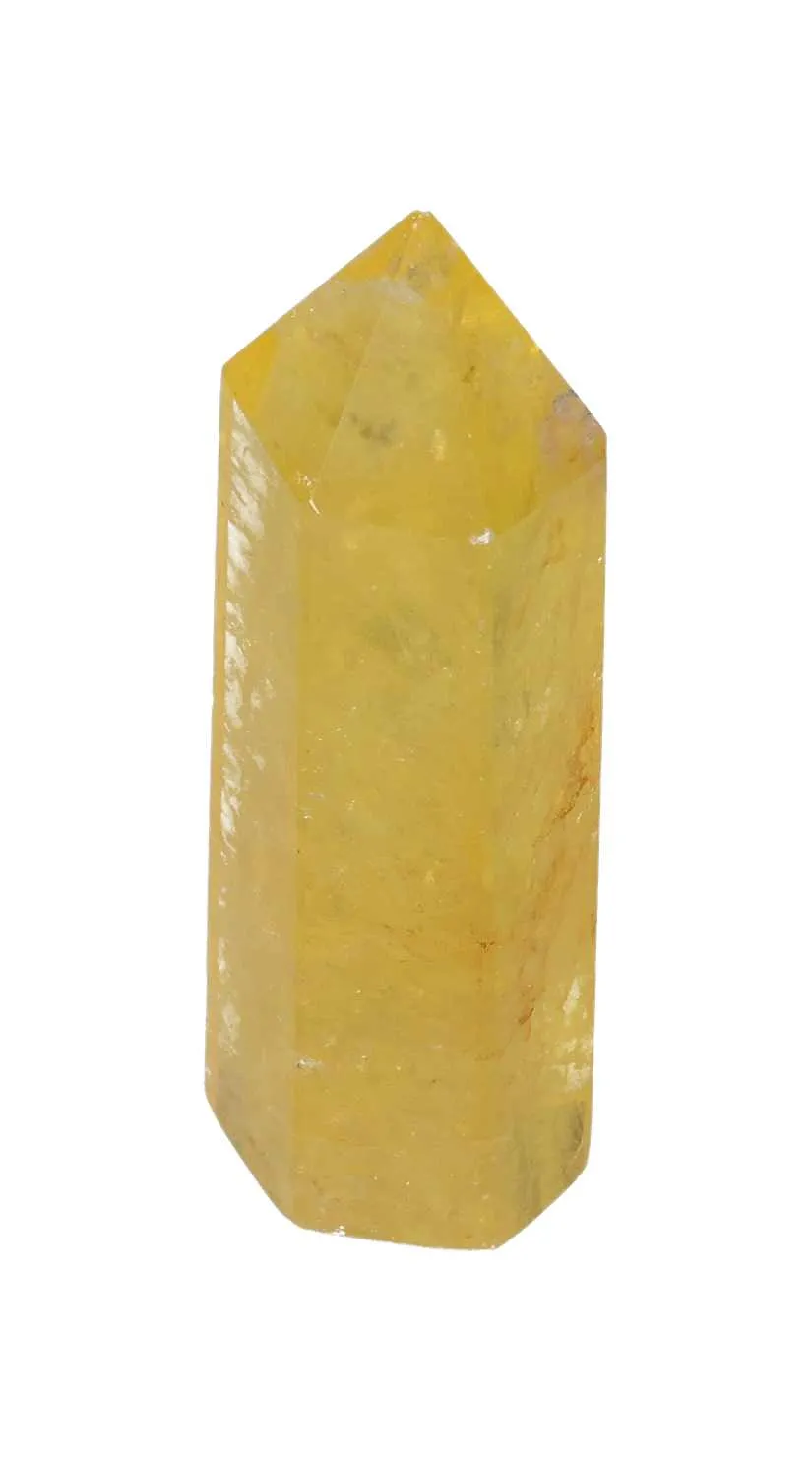 orbitvu|type:image2d