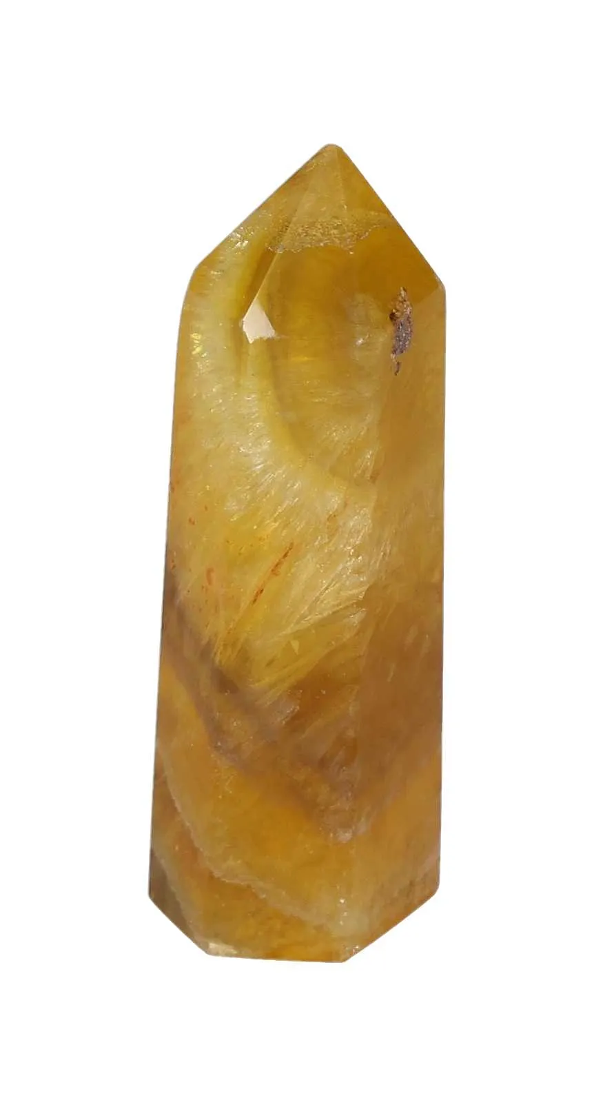 orbitvu|type:image2d