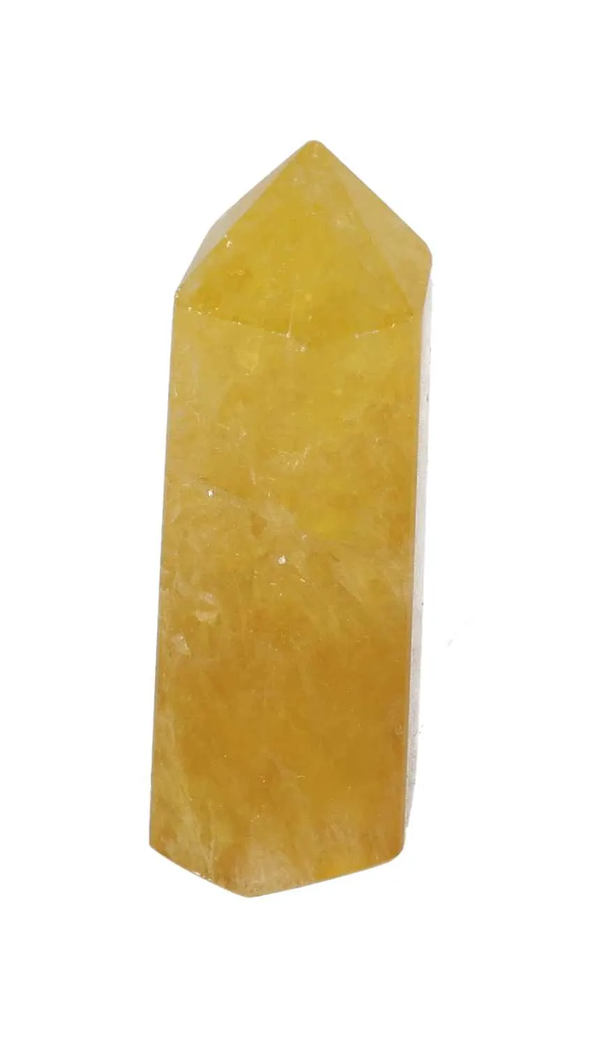 orbitvu|type:image2d