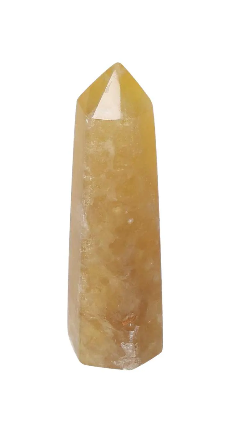 orbitvu|type:image2d