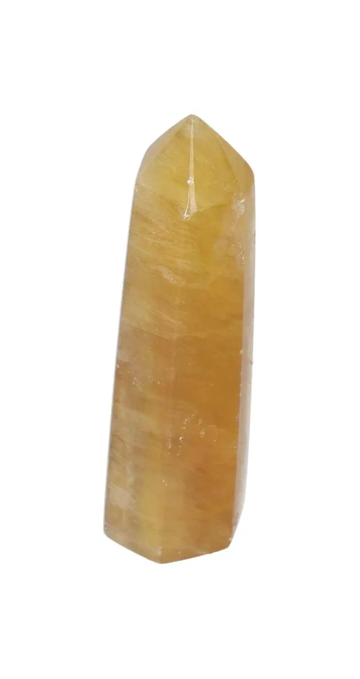 orbitvu|type:image2d