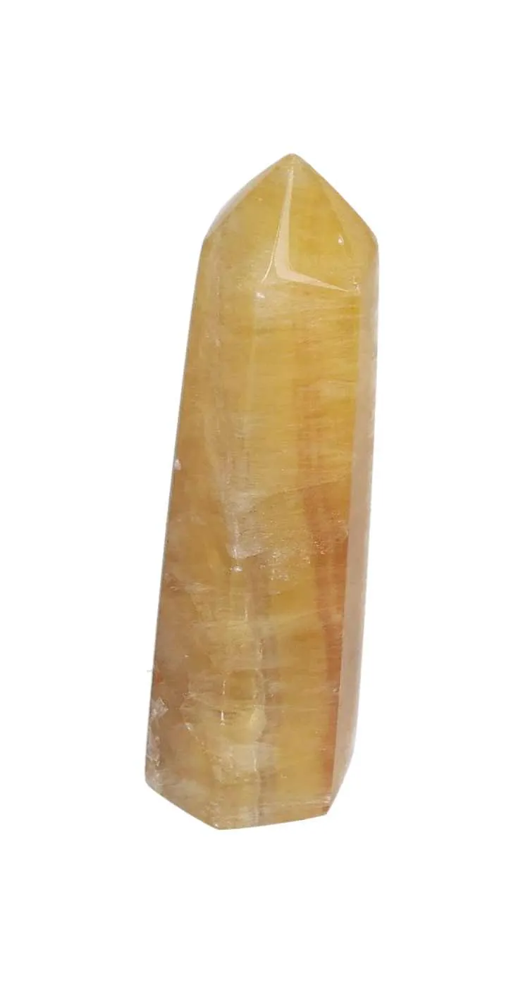 orbitvu|type:image2d