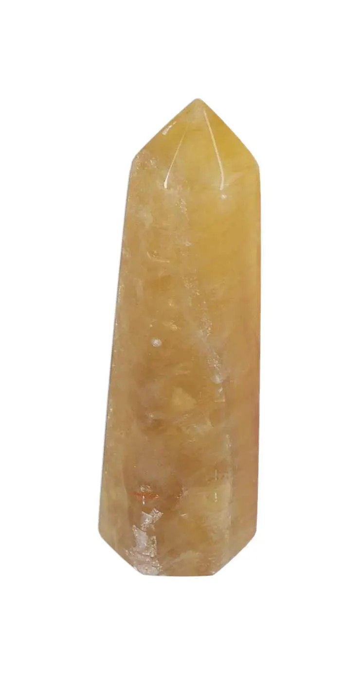 orbitvu|type:image2d