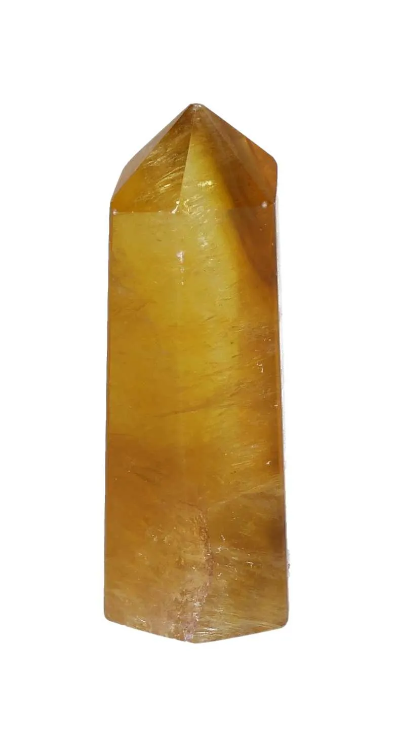 orbitvu|type:image2d