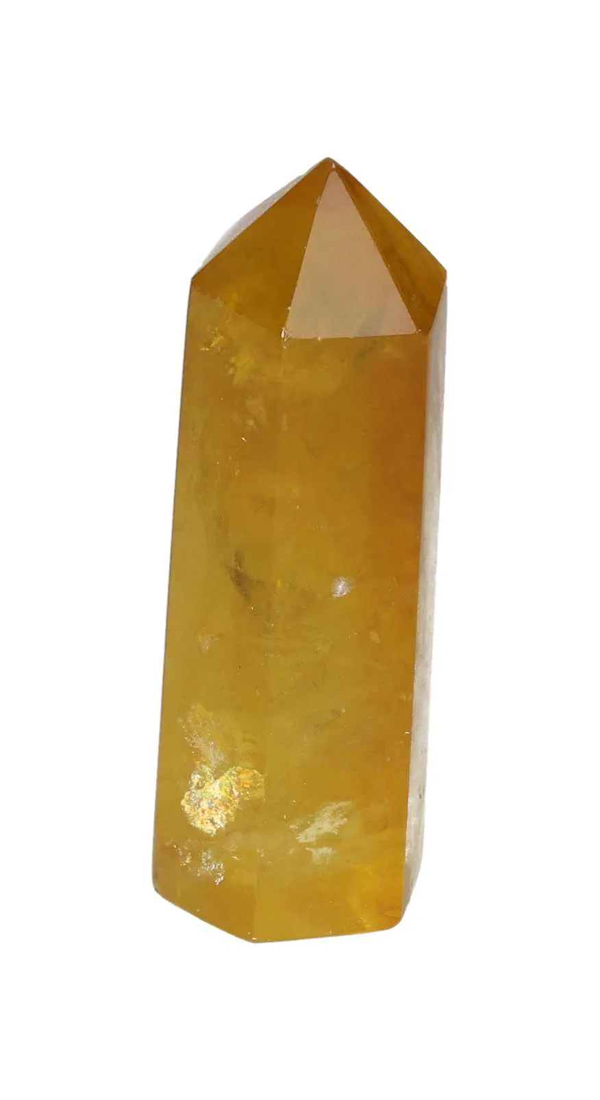 orbitvu|type:image2d