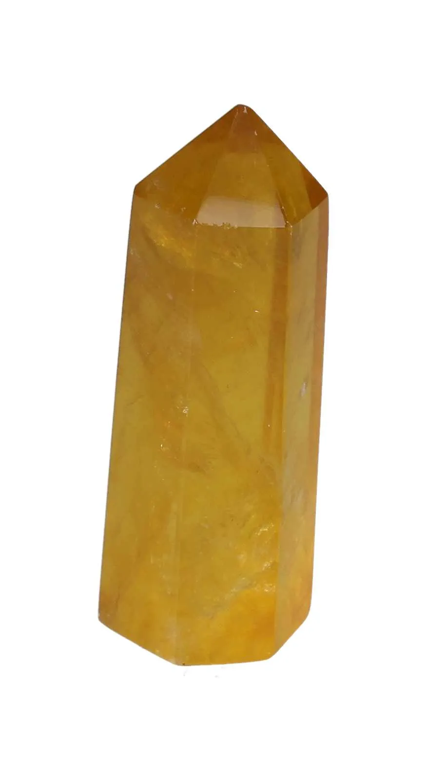 orbitvu|type:image2d