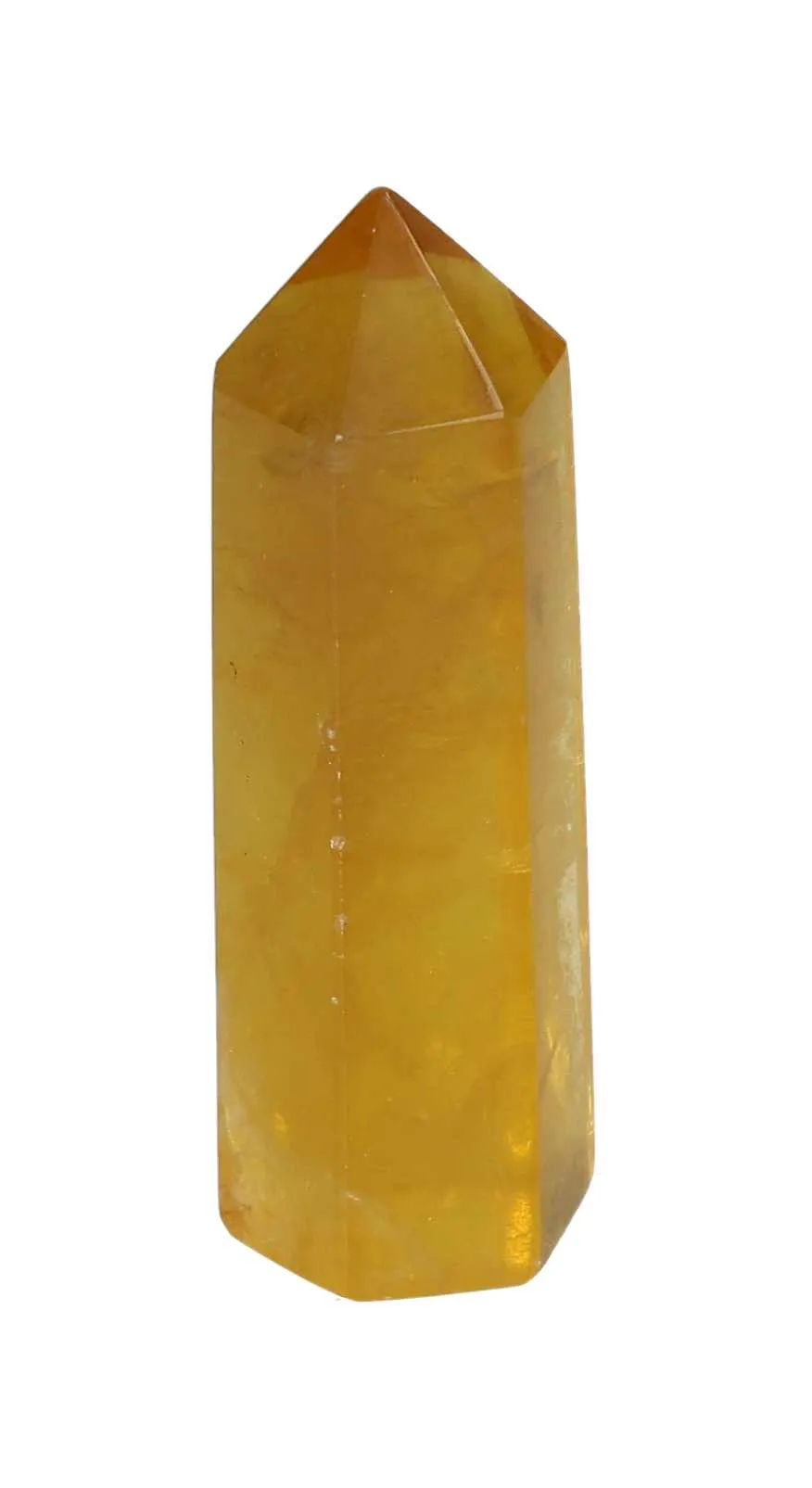 orbitvu|type:image2d