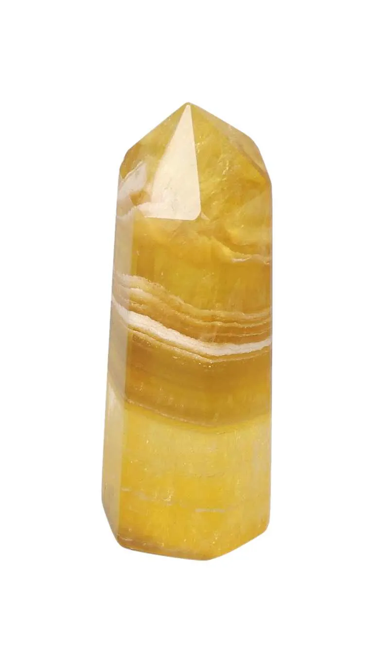 orbitvu|type:image2d