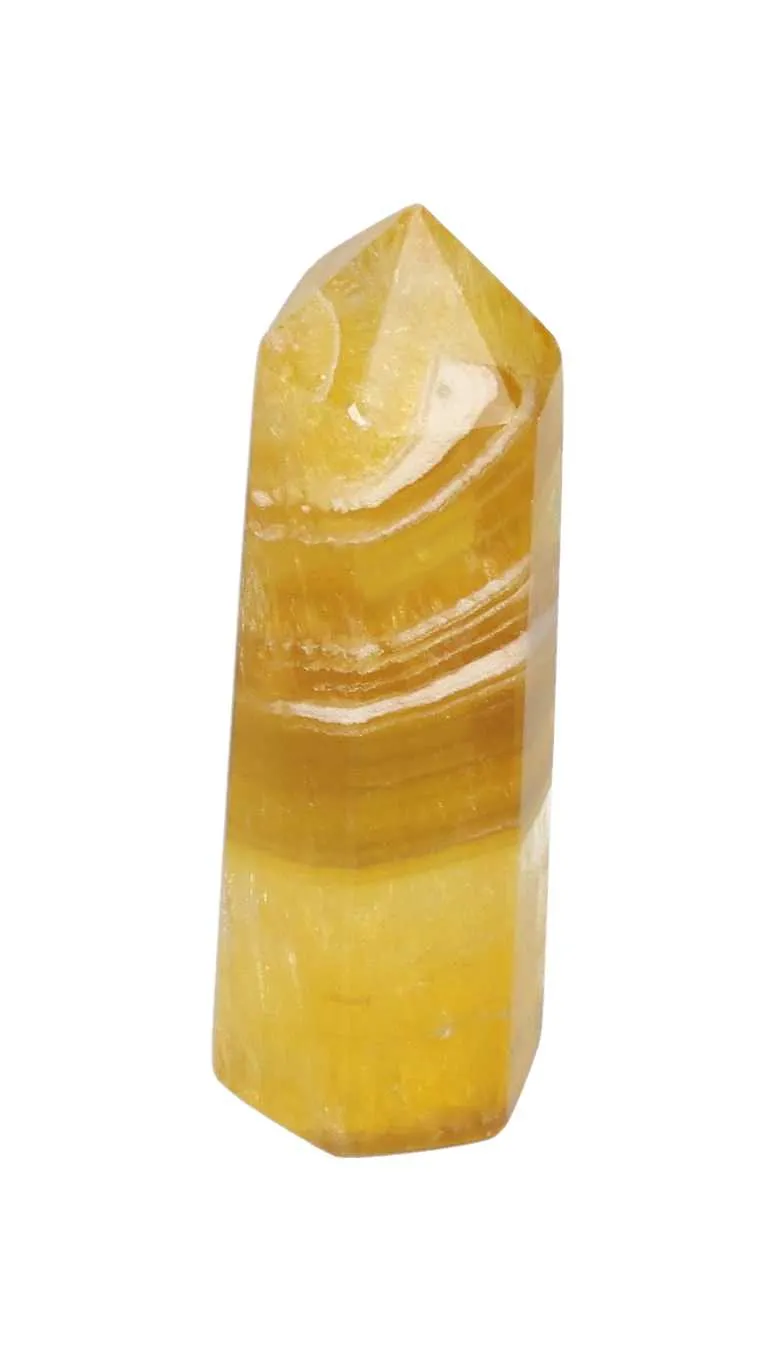 orbitvu|type:image2d