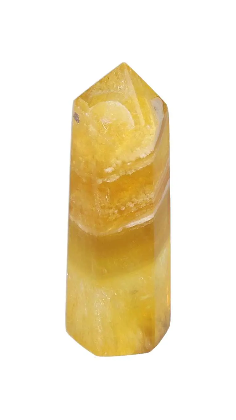 orbitvu|type:image2d