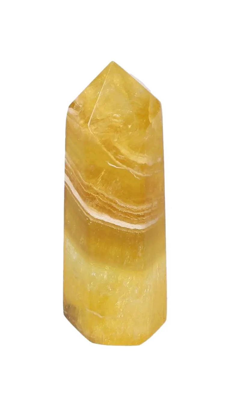 orbitvu|type:image2d