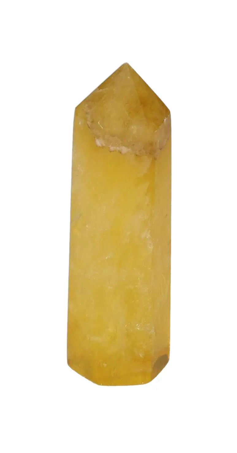 orbitvu|type:image2d