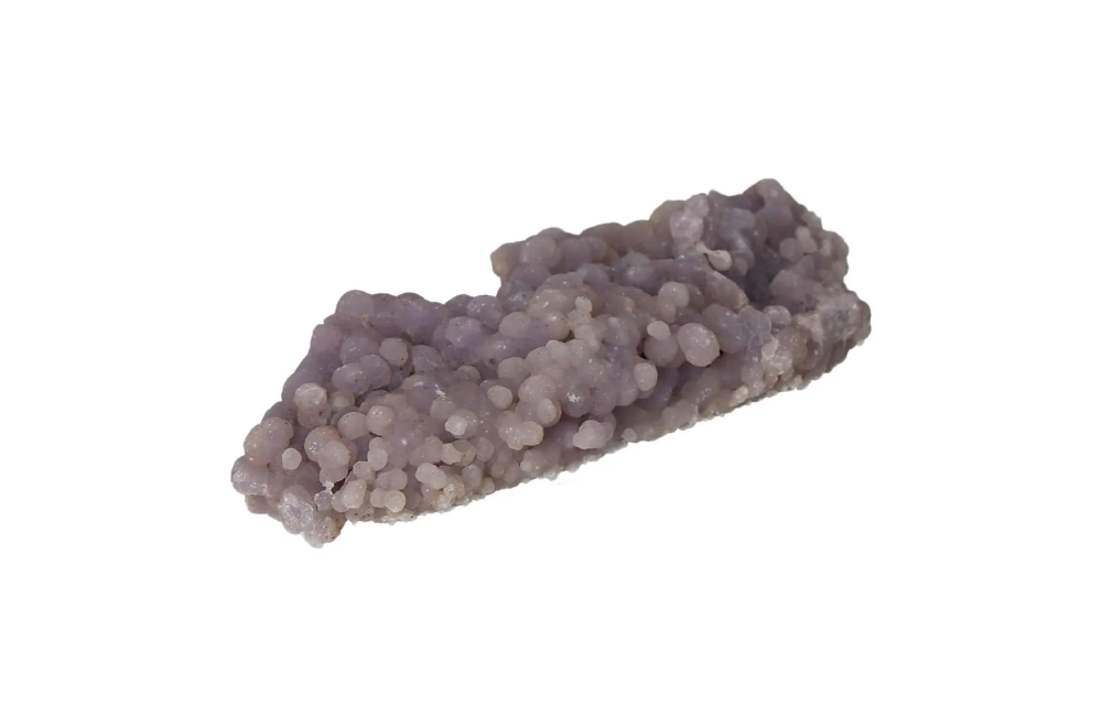 orbitvu|type:image2d