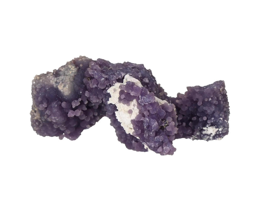 orbitvu|type:image2d