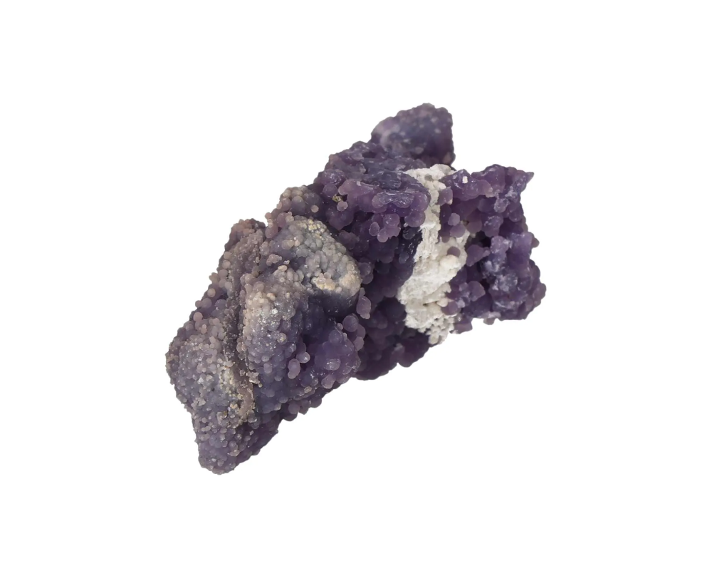 orbitvu|type:image2d