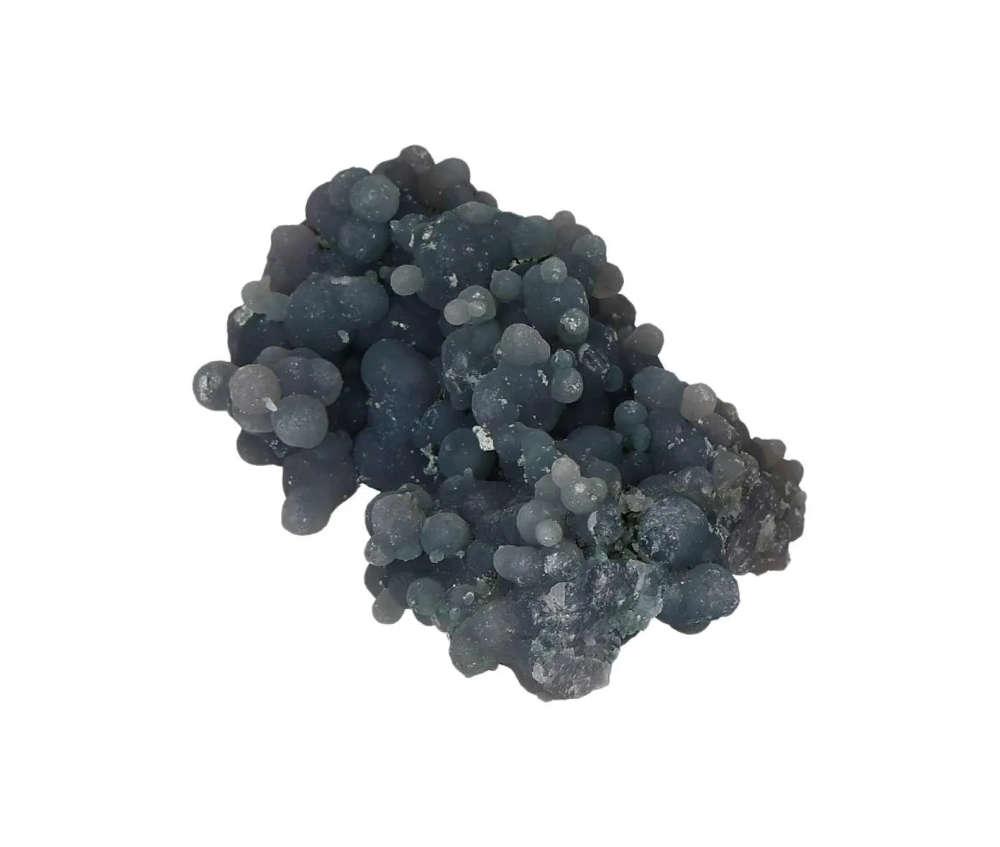 orbitvu|type:image2d