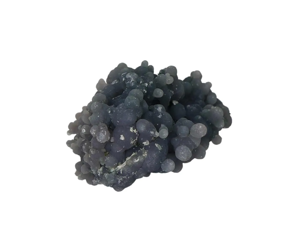 orbitvu|type:image2d