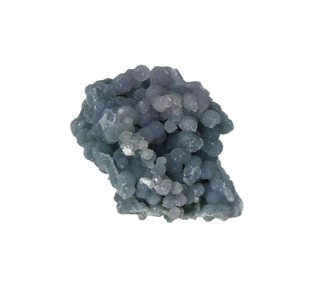 orbitvu|type:image2d