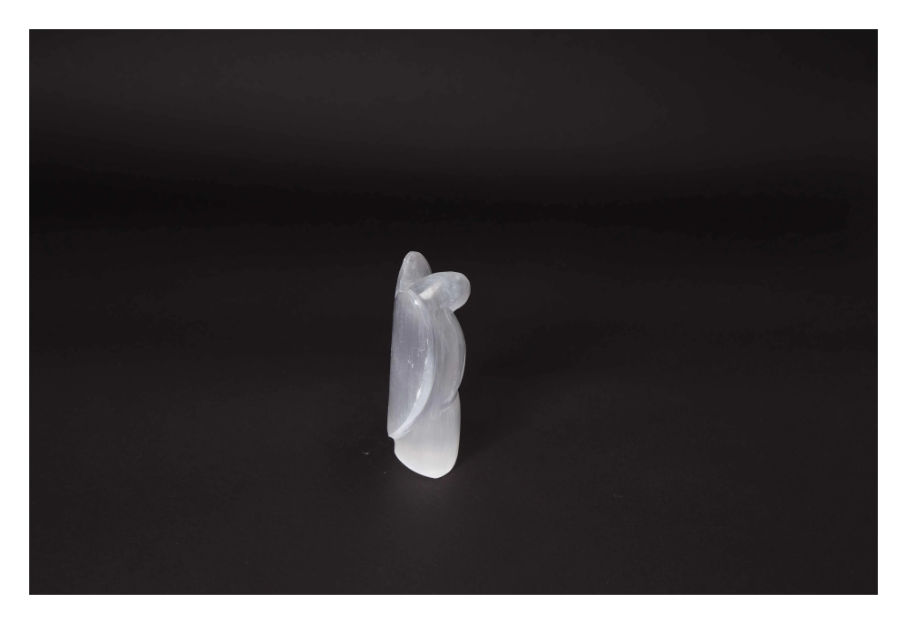 orbitvu|type:image2d