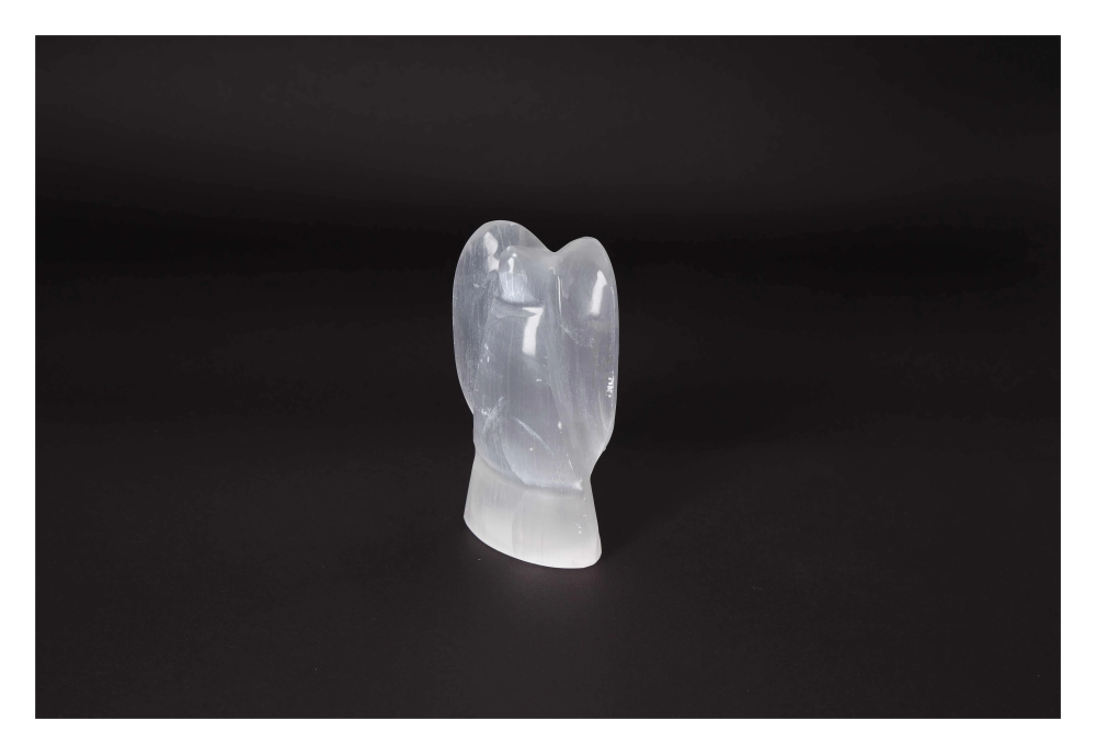 orbitvu|type:image2d