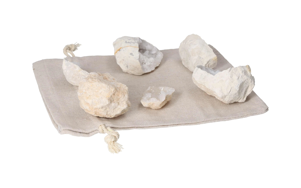 orbitvu|type:image2d