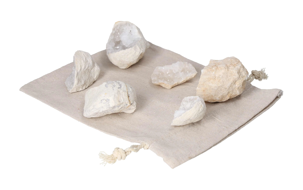 orbitvu|type:image2d