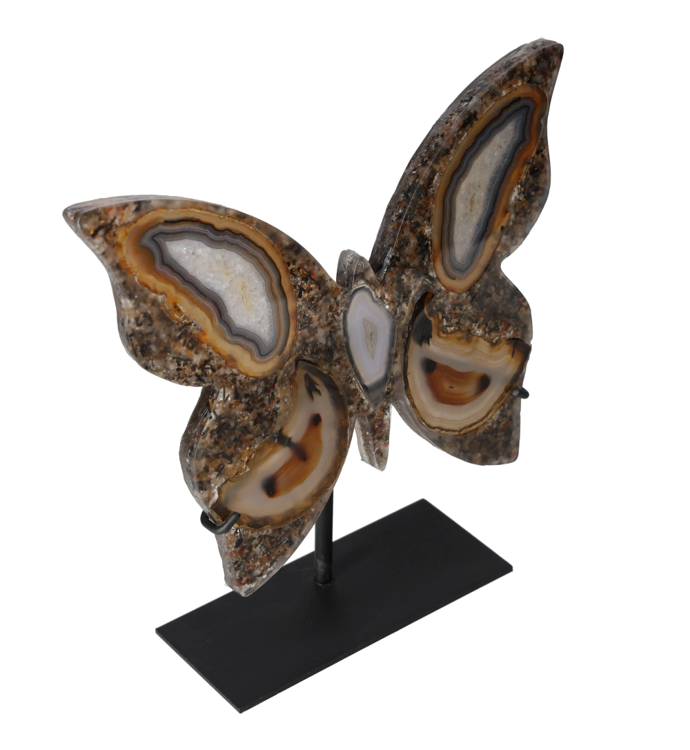 orbitvu|type:image2d